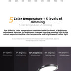 Adjustable Full Spectrum LED Desk Lamp with USB Charging